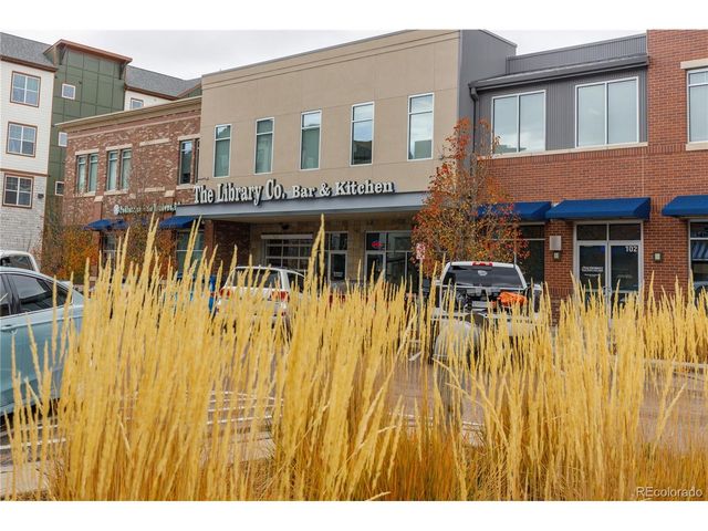 3133 Hardin St, Castle Rock, CO 80109