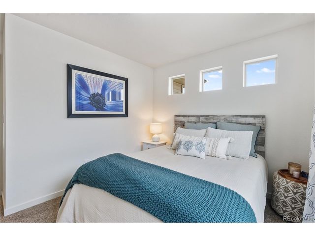 3133 Hardin St, Castle Rock, CO 80109