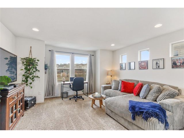 3133 Hardin St, Castle Rock, CO 80109