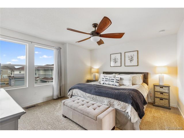 3133 Hardin St, Castle Rock, CO 80109