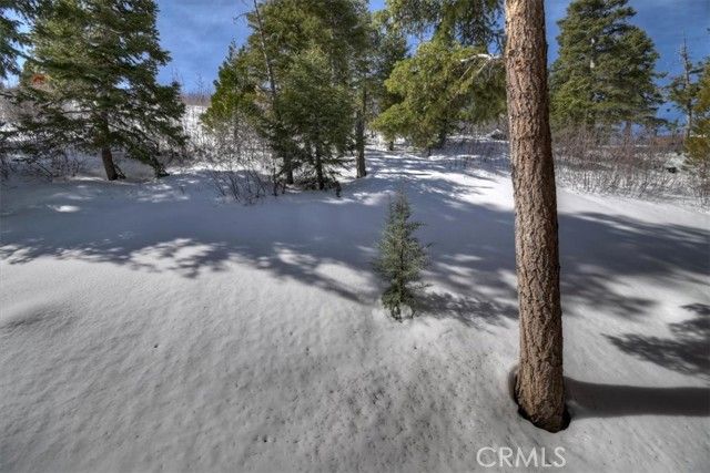 1370 Primrose Court, Big Bear Lake, CA 92315