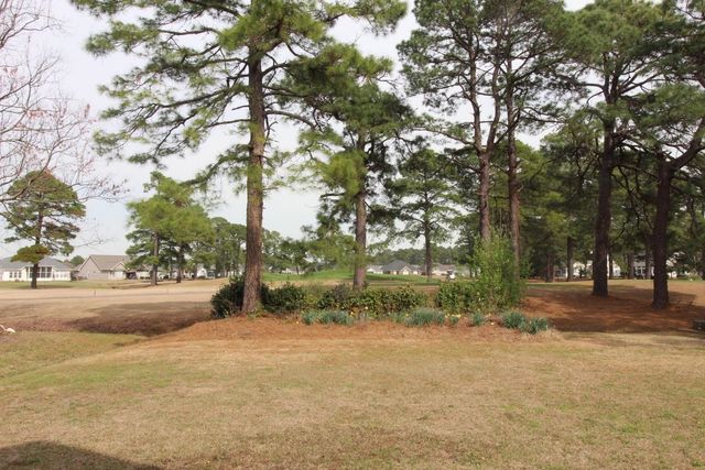 542 Sand Ridge Rd., Conway, SC 29526