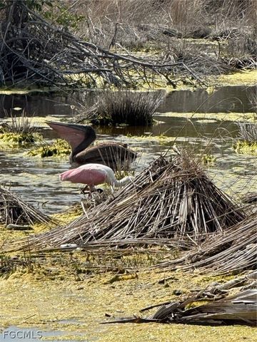 9247 Dimmick DR, Sanibel, FL 33957