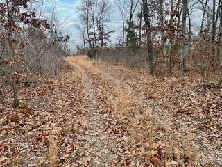 (125.87 Ac) Tract A-1 Clear Creek Road, Richwoods, MO 63071