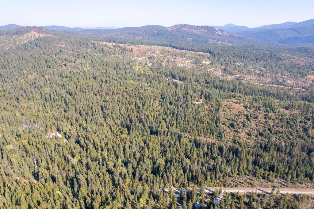 1416 Aspen Creek Rd, Colville, WA 99114 photo 6