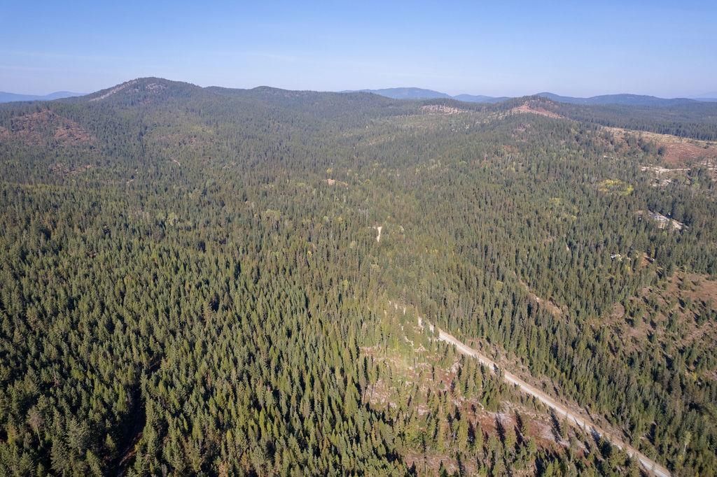 1416 Aspen Creek Rd, Colville, WA 99114 photo 7