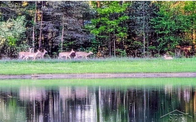 15251 Geddes Road, Hemlock, MI 48626