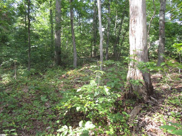 706 Scharlin Drive, Pickens, SC 29671