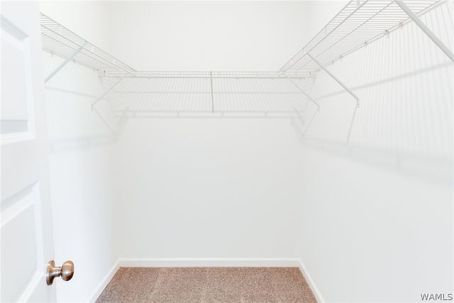 11277 Snapdragon Cove, Tuscaloosa, AL 35405