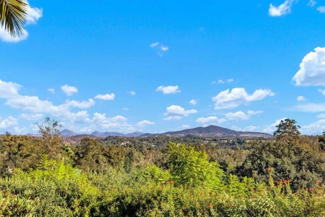 16346 Via Del Alba, Rancho Santa Fe, CA 92067
