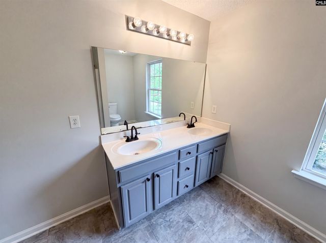 149 Smallwood Drive, Chapin, SC 29036