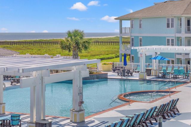 25623 Spotted Sandpiper Drive, Galveston, TX 77554