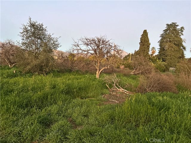 400 Walnut Avenue, Redlands, CA 92373