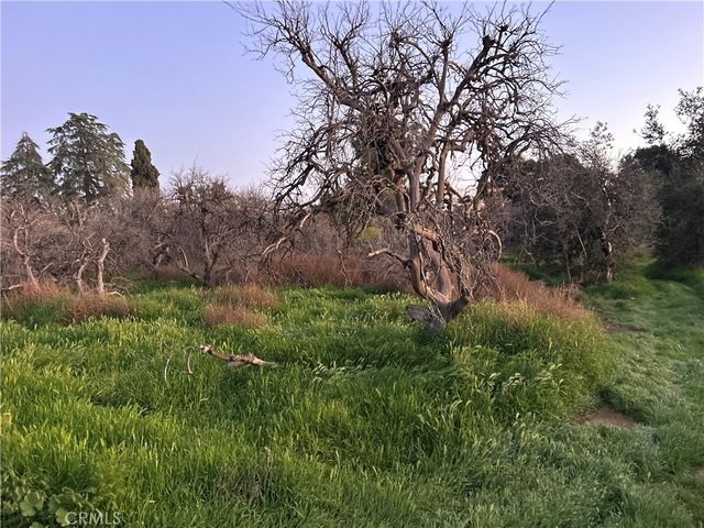 400 Walnut Avenue, Redlands, CA 92373