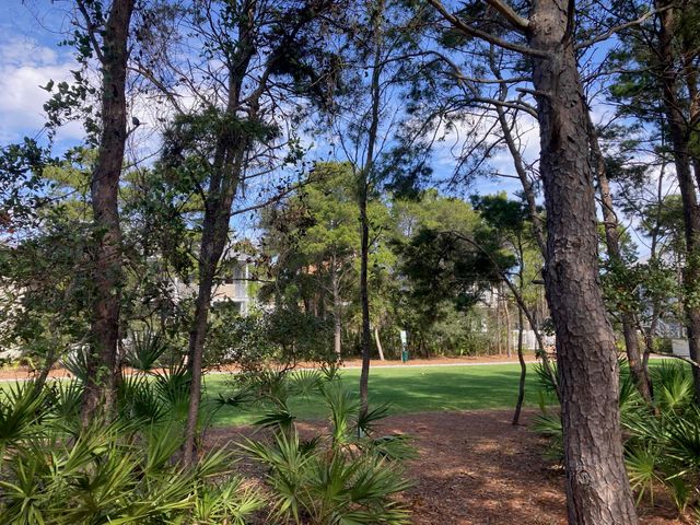 87 Cobia Run, Inlet Beach, FL 32461