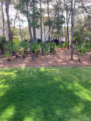 87 Cobia Run, Inlet Beach, FL 32461