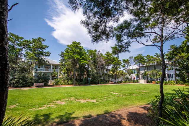 87 Cobia Run, Inlet Beach, FL 32461