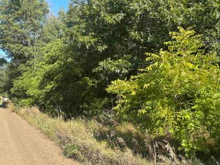 Lot 26-30 Willow Street, Lake, MI 48632