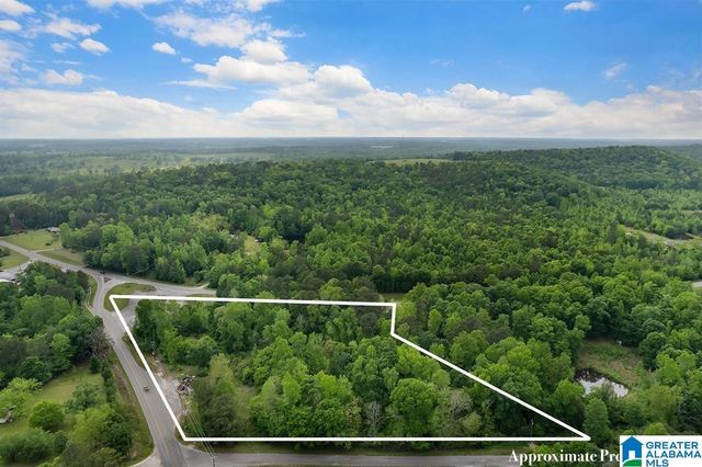75 COUNTY ROAD 55, Clanton, AL 35046