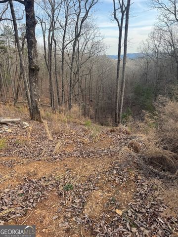 439 Buck Creek Road, Ellijay, GA 30540