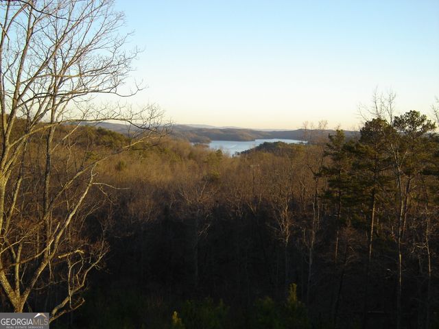 439 Buck Creek Road, Ellijay, GA 30540