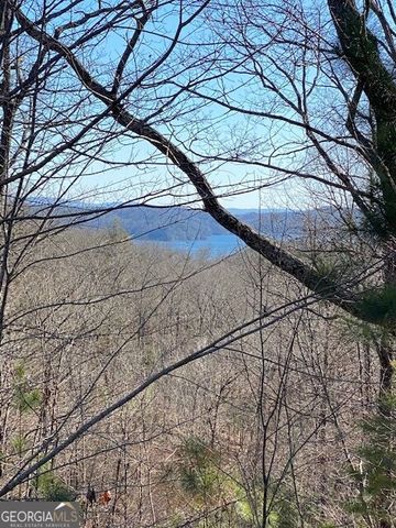 439 Buck Creek Road, Ellijay, GA 30540