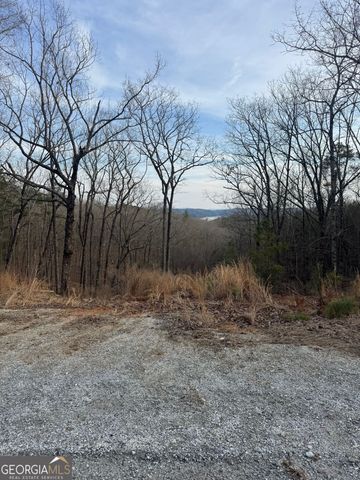 439 Buck Creek Road, Ellijay, GA 30540