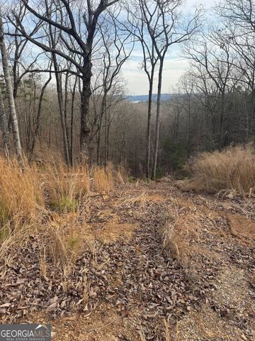 439 Buck Creek Road, Ellijay, GA 30540