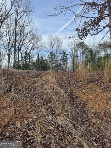 439 Buck Creek Road, Ellijay, GA 30540