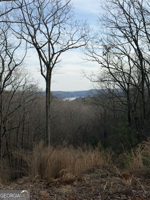 439 Buck Creek Road, Ellijay, GA 30540
