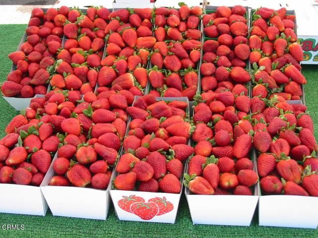 160 W Fiesta Green, Port Hueneme, CA 93041