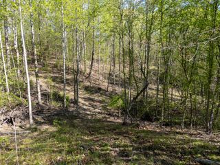 0 Guy Hart Rd, Lexington, TN 38351