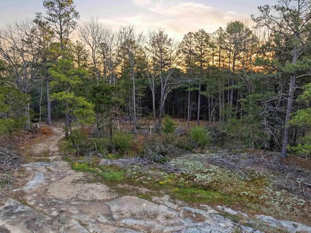 499 Quail Drive, Calico Rock, AR 72519