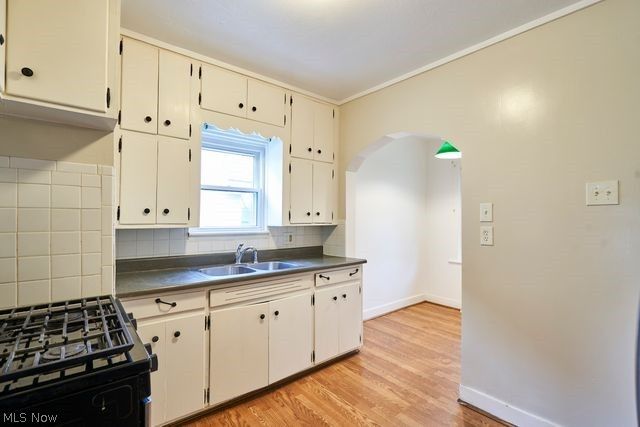 1153 Lily Street, Akron, OH 44301