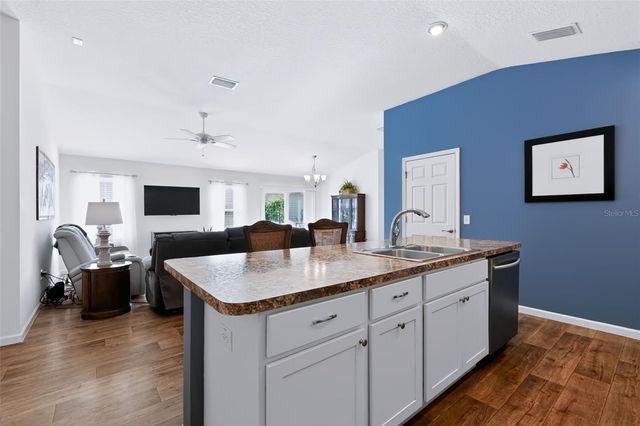 1691 SCHAU STREET, The Villages, FL 32163
