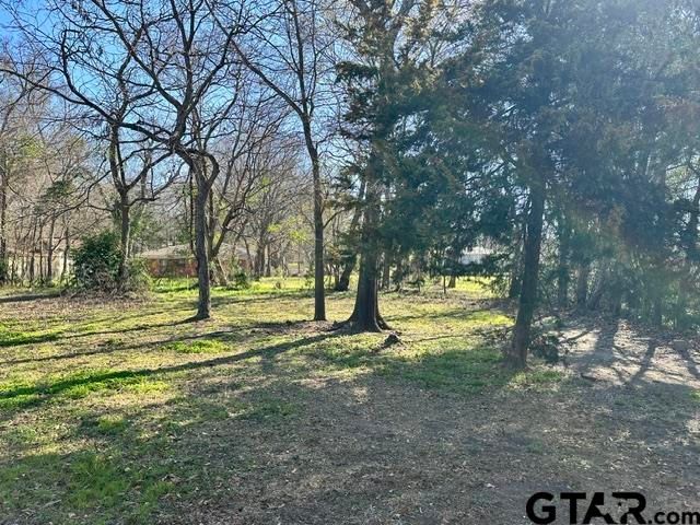 1501 N Dargan Ave, Tyler, TX 75702