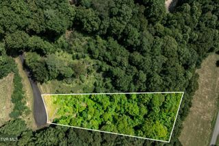 Lot 31 Lake Ridge Road, Butler, TN 37640