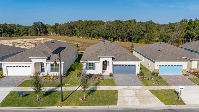 744 SUNSHOWER DRIVE, Lady Lake, FL 32159