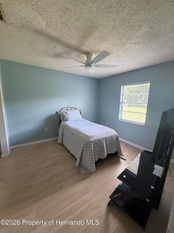 12035 Norvell Road, Spring Hill, FL 34608