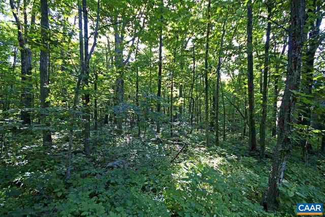 25 STONY COVE LN, Wintergreen Resort, VA 22967