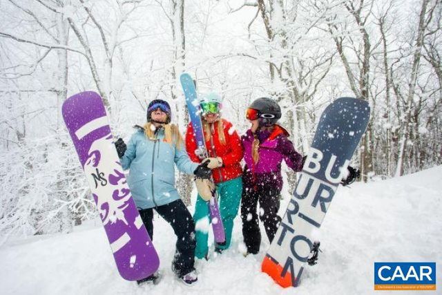 25 STONY COVE LN, Wintergreen Resort, VA 22967