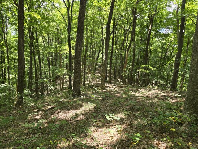 16 Seals Hollow Rd, Woodbury, TN 37190