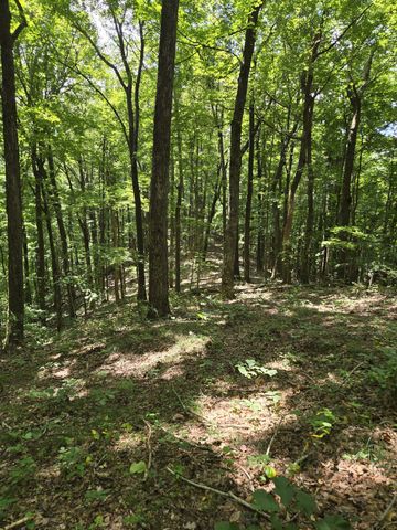 16 Seals Hollow Rd, Woodbury, TN 37190