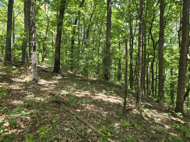 16 Seals Hollow Rd, Woodbury, TN 37190