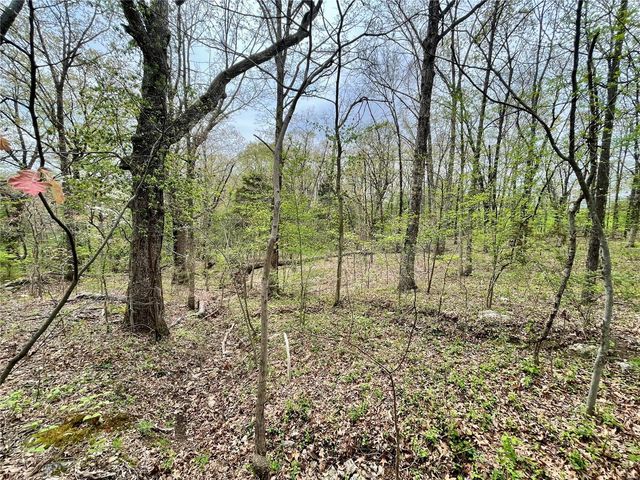 0 State Route DD, Festus, MO 63028