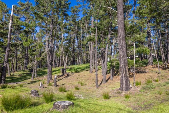 1401 Viscaino Road, Pebble Beach, CA 93953