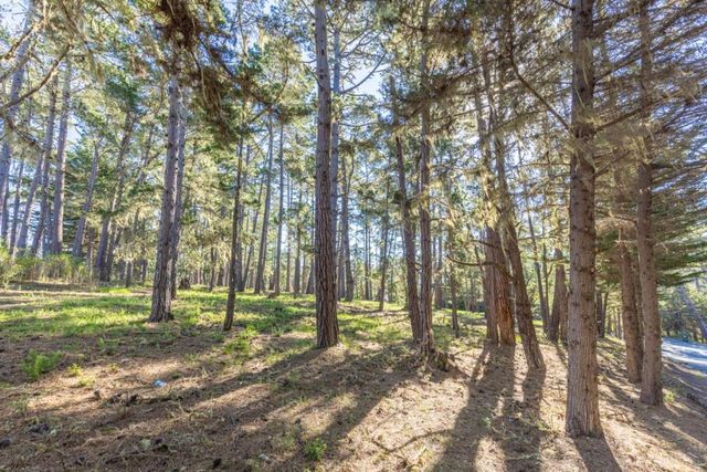 1401 Viscaino Road, Pebble Beach, CA 93953