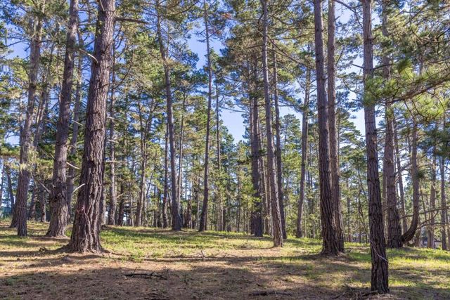 1401 Viscaino Road, Pebble Beach, CA 93953