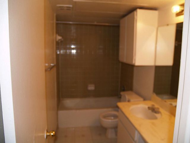 4647 Wild Indigo Street 355, Houston, TX 77027