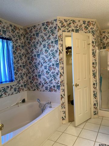 1420 Lee Drive, Mineola, TX 75773